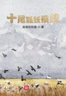 雨婷传