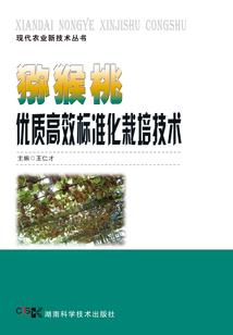三更雨